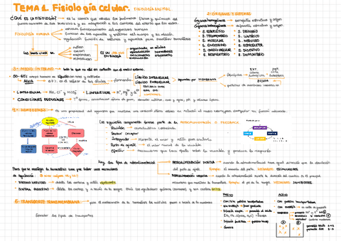 Tema-1.pdf