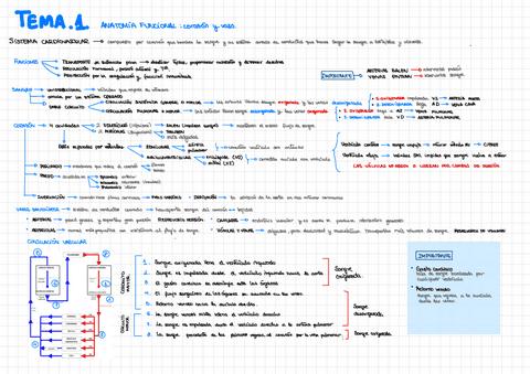 Tema-1-bloque-3.pdf