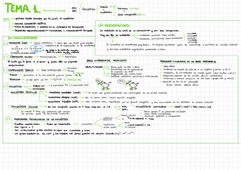 Biologia-Molecular.pdf