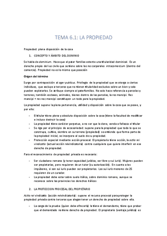 TEMA-6.1.pdf