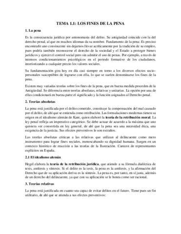 Tema 1.1.pdf