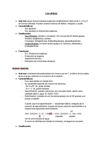 los-lipidos.pdf