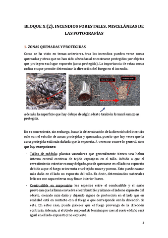Bloque-X-2.-Incendios-forestales.-Miscelanea-de-las-fotografias.pdf