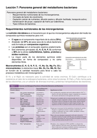 Leccion-7.pdf