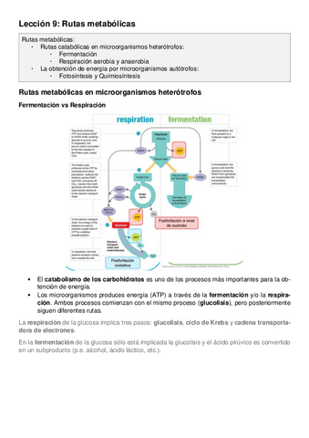 Leccion-9.pdf