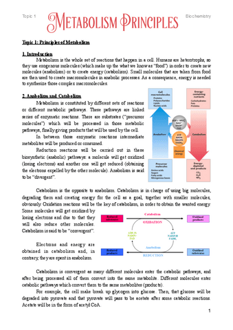 1.-Principles-of-Metabolism.pdf