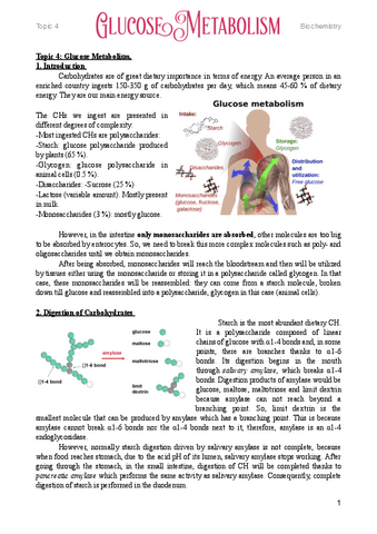 4.-Glucose-Metabolism.pdf