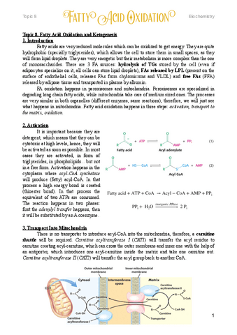 8.-FA-oxidation-and-Ketogenesis.pdf