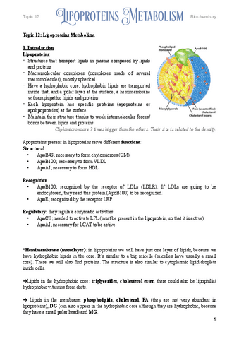 12.-Lipoproteins-Metabolism.pdf