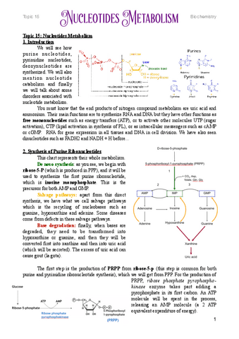 15.-Nucleotides-Metabolism.pdf