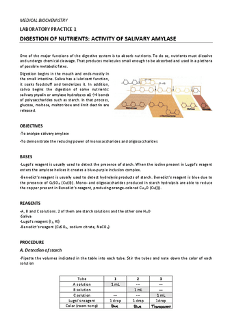 Laboratorio-Bioquimica.pdf