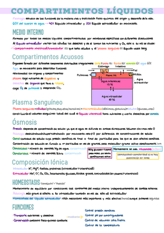 3.-Compartimentos-Liquidos.pdf