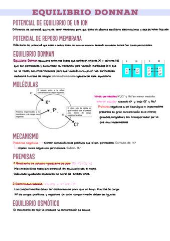 10.-Equilibrio-Donnan.pdf