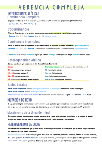 13.-Herencia-Compleja.pdf