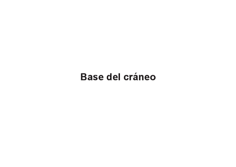 1.-Base-del-Craneo.pdf
