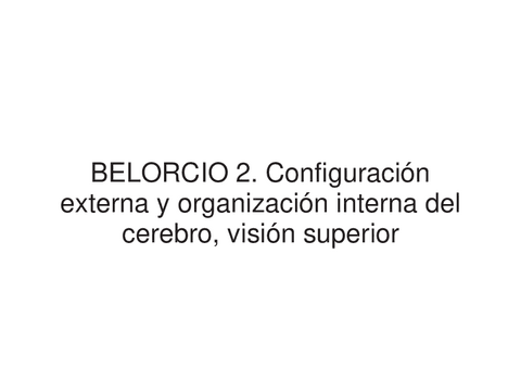 8.-Cerebro-Vision-Superior-II.pdf