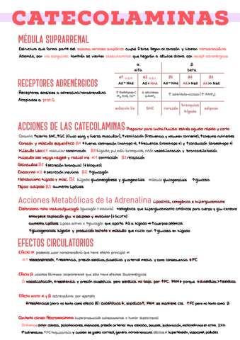 5.-Catecolaminas-y-Tiroides.pdf