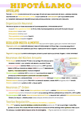 19.-Hipotalamo.pdf