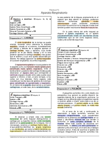 2.-Laboratorio-Histologia-Respiratorio.pdf