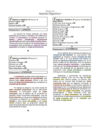 3.-Laboratorio-Histologia-Digestivo-I.pdf