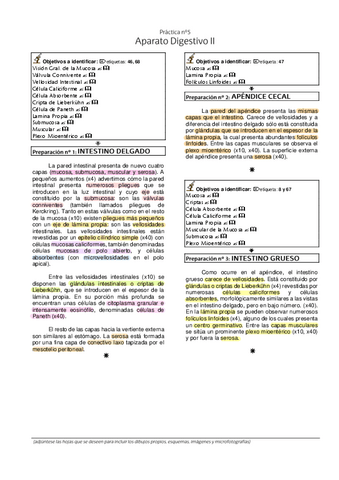 4.-Laboratorio-Histologia-Digestivo-II.pdf