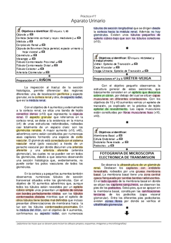 6.-Laboratorio-Histologia-Urinario.pdf
