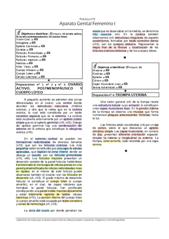 8.-Laboratorio-Histologia-Genital-Femenino-I.pdf