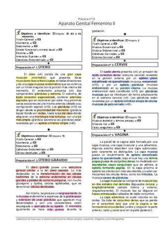 9.-Laboratorio-Histologia-Genital-Femenino-II.pdf