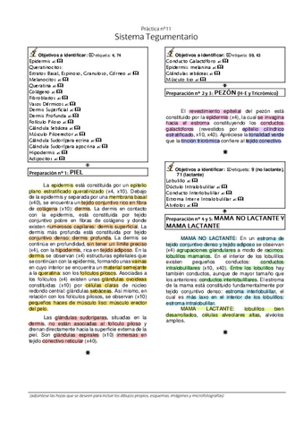 10.-Laboratorio-Histologia-Tegumentario.pdf