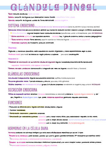 1.-Glandula-Pineal.pdf