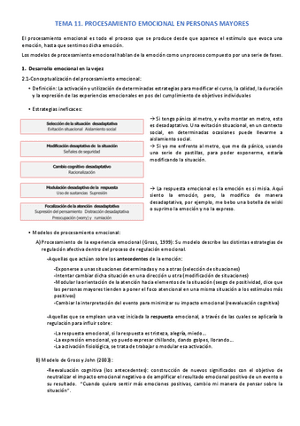 TEMA-11.pdf