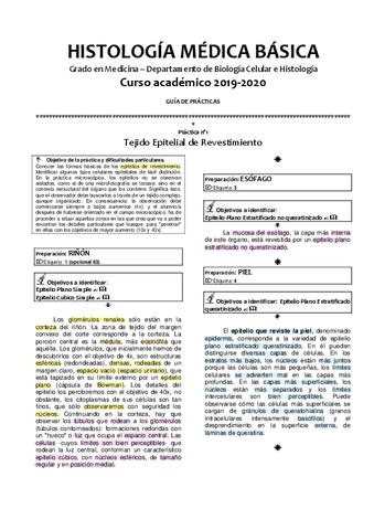 1.-Epitelio-Revestimiento.pdf