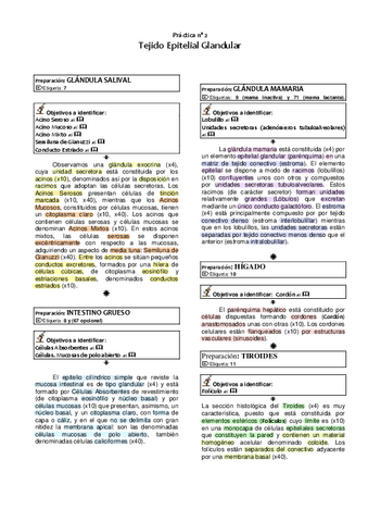 2.-Epitelio-Glandular.pdf
