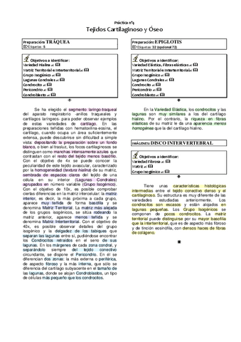 4.-Cartilaginoso-y-Oseo.pdf