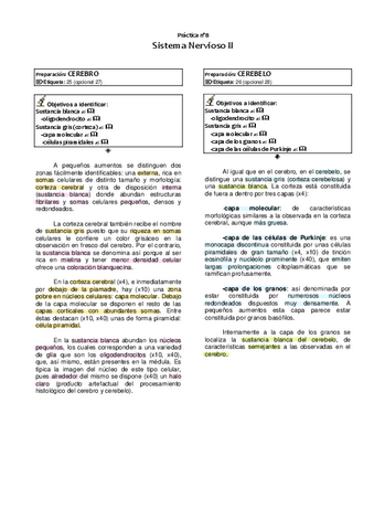 8.-Nervioso-II.pdf