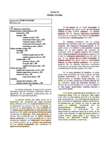 9.-Globo-Ocular.pdf