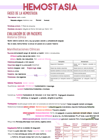 13.-Hemostasia.pdf