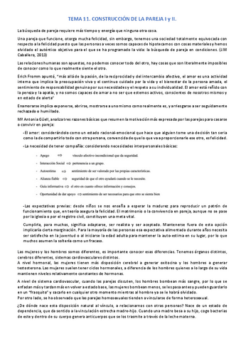 TEMA-11.pdf