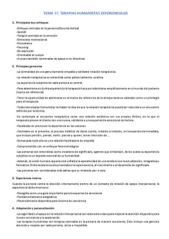 TEMA-17-externa.pdf