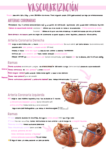3.-Vascularizacion-Cardiaca.pdf