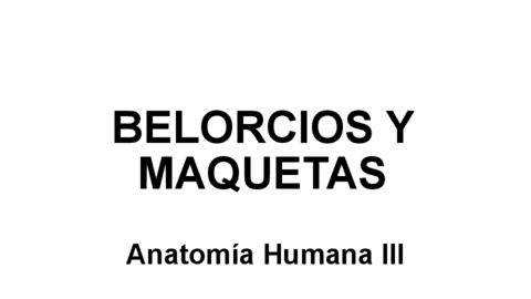 Belorcios-Anatomia-III.pdf
