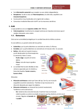 TEMA 7 SENTIDOS ESPECIALES.pdf