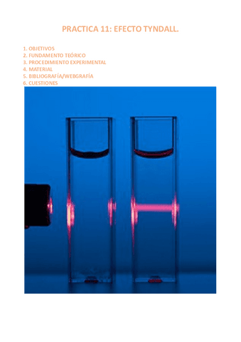 PRACTICA-11.pdf