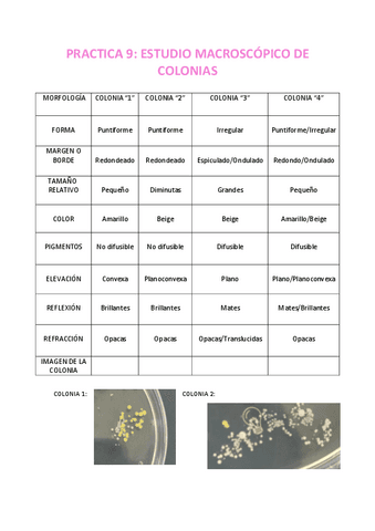 PRACTICA-9.pdf