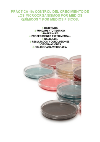 PRACTICA-10.pdf