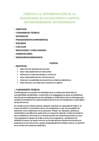 PRACTICA-11.pdf