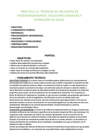 PRACTICA-13.pdf