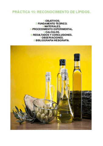PRACTICA-15.pdf