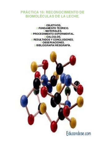 PRACTICA-16.pdf