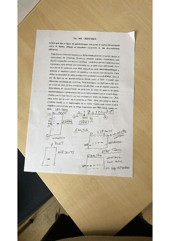 WhatsApp-Image-2023-04-14-at-13.17.56.pdf